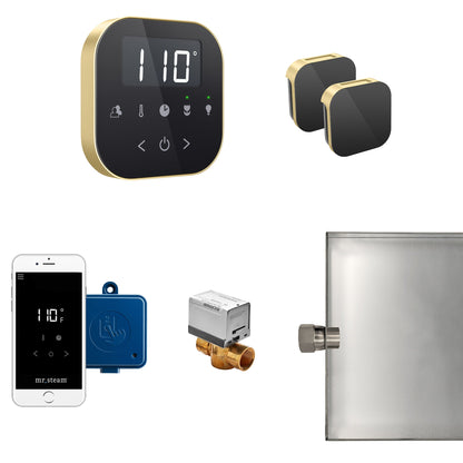 Mr Steam AirButler Max Package Black Satin Brass - ABUTLERXB-SB