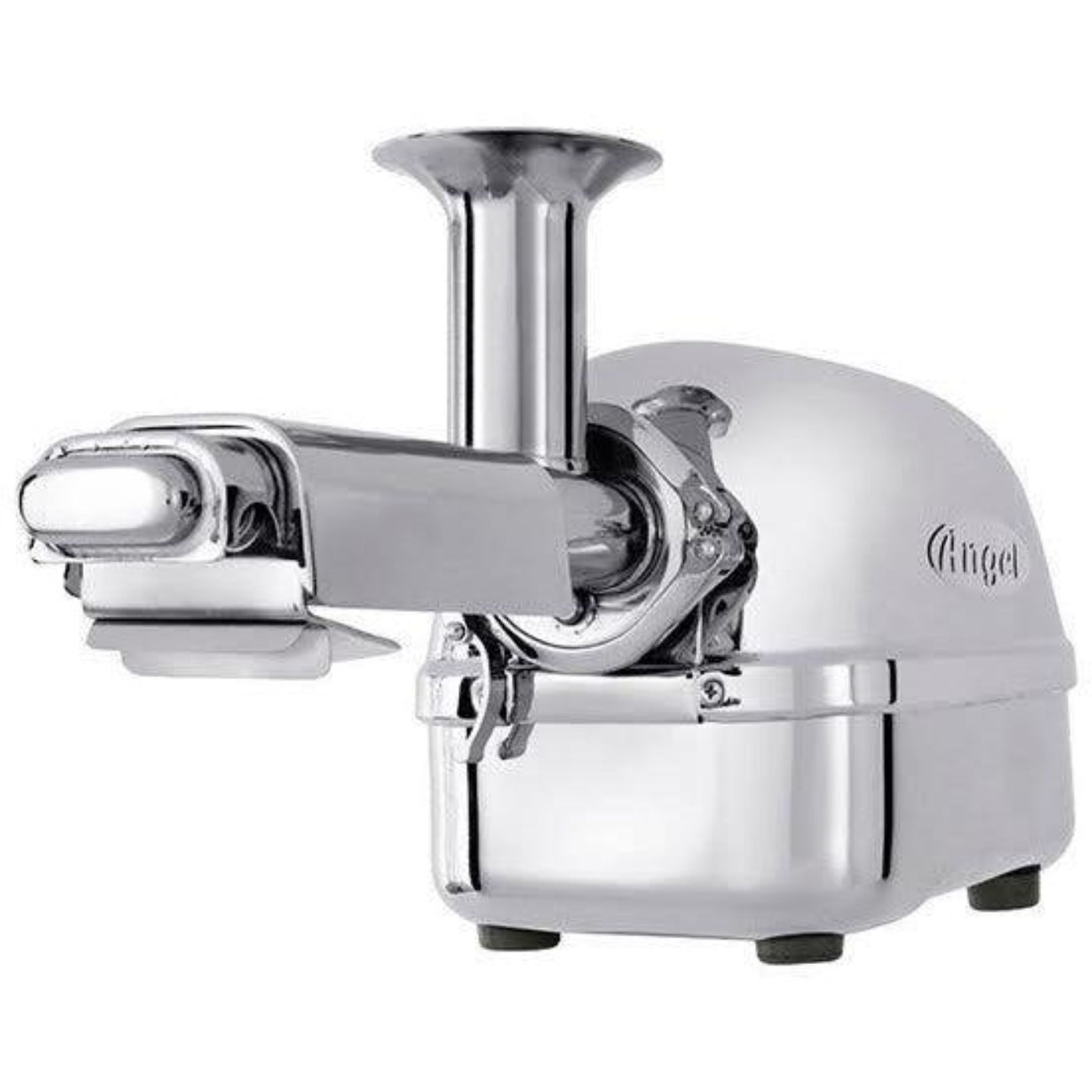 Angel Juicer 5500 Twin Gear Stainless Steel Juicer - ANGELJUICER_5500