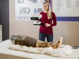 Artec Leo and Space Spider 3D Scanner Bundle