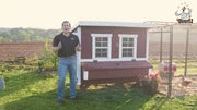 Jumbo Chicken Coop - Up to 30 Chickens