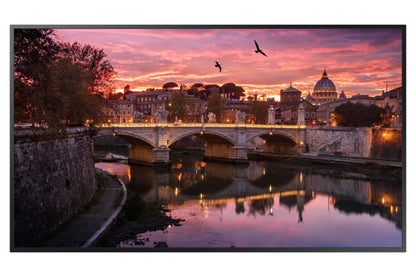Samsung 49" Edge-Lit 4K Ultra HD Commercial LCD Display - QB49R