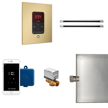 Mr Steam  Butler Max Linear Package Square Polished Nickel - BUTLERLXSPN