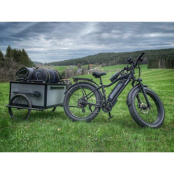 Himiway D3 Cruiser | Long Range Fat Tire Electric Bike