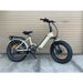 Coastal Cruiser 48V/14Ah 750W Folding Fat Tire Electric Bike BB-HOLY-ST