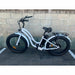 Coastal Cruiser 750W Step-Thru Fat Tire Electric Bike