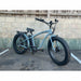 Coastal Cruiser 48V/20Ah 750W Fat Tire Electric Bike CC-CFO