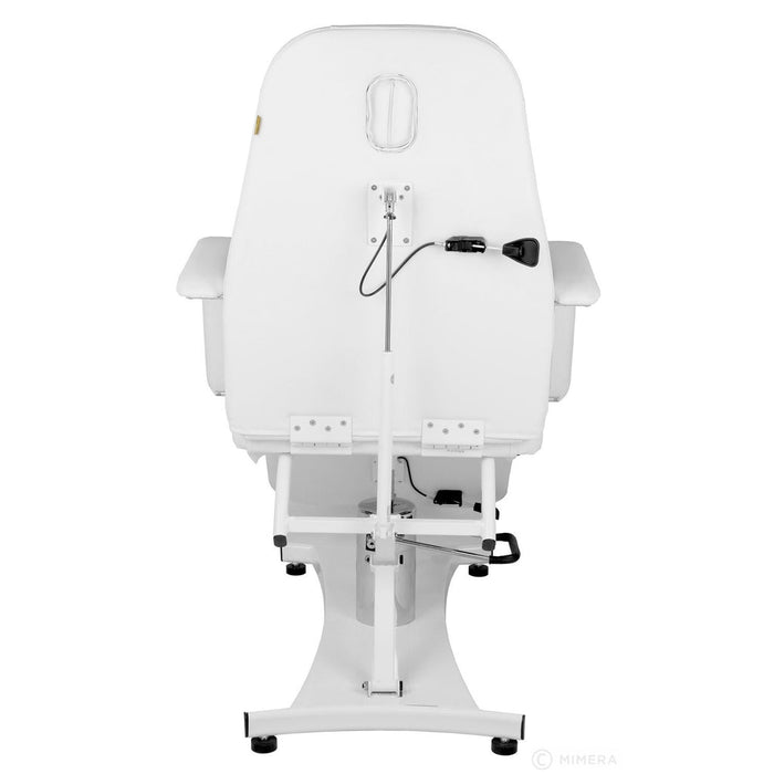 Silver Fox Luxury Hydraulic Facial Chair - 2206A