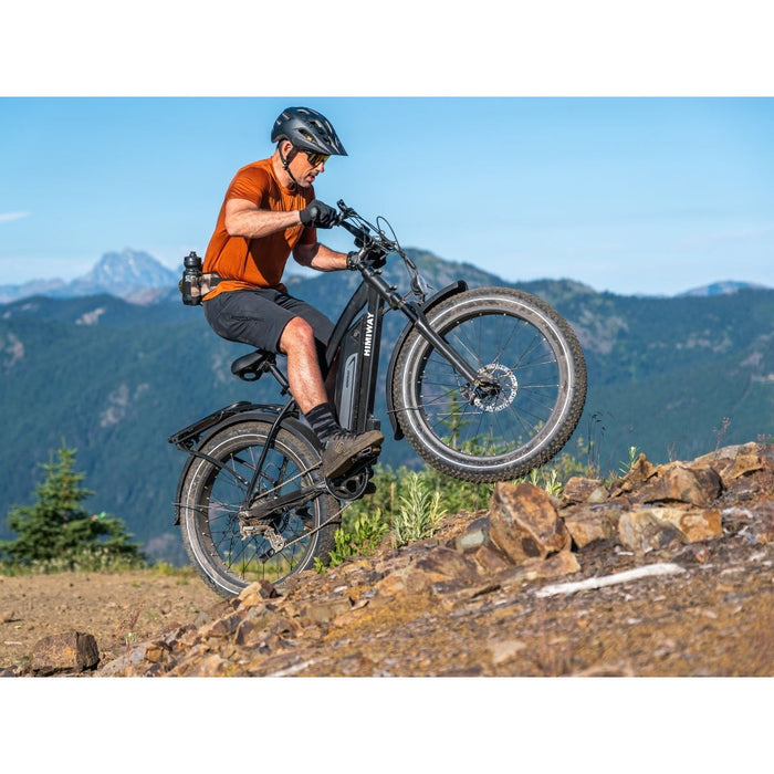 Himiway D3 Cruiser | Long Range Fat Tire Electric Bike