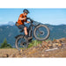 Himiway D3 Cruiser | Long Range Fat Tire Electric Bike