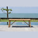 Midtown Concept Klarion Teak Table & 8 Oberon Grey Chairs With Cushions - KLAR_8OBE_GR