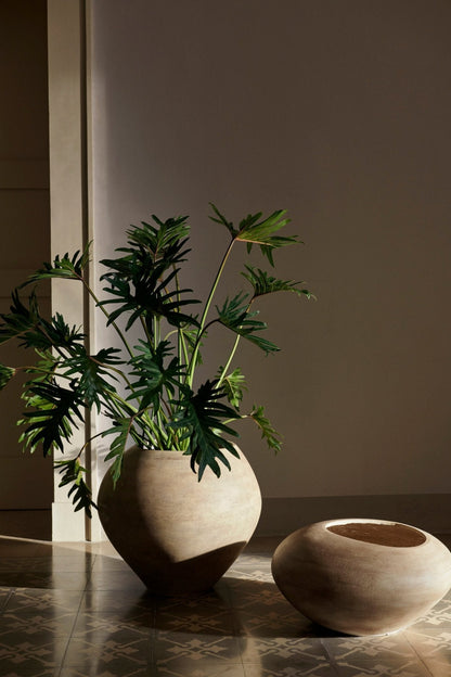 Dodu Pot - 1104267526