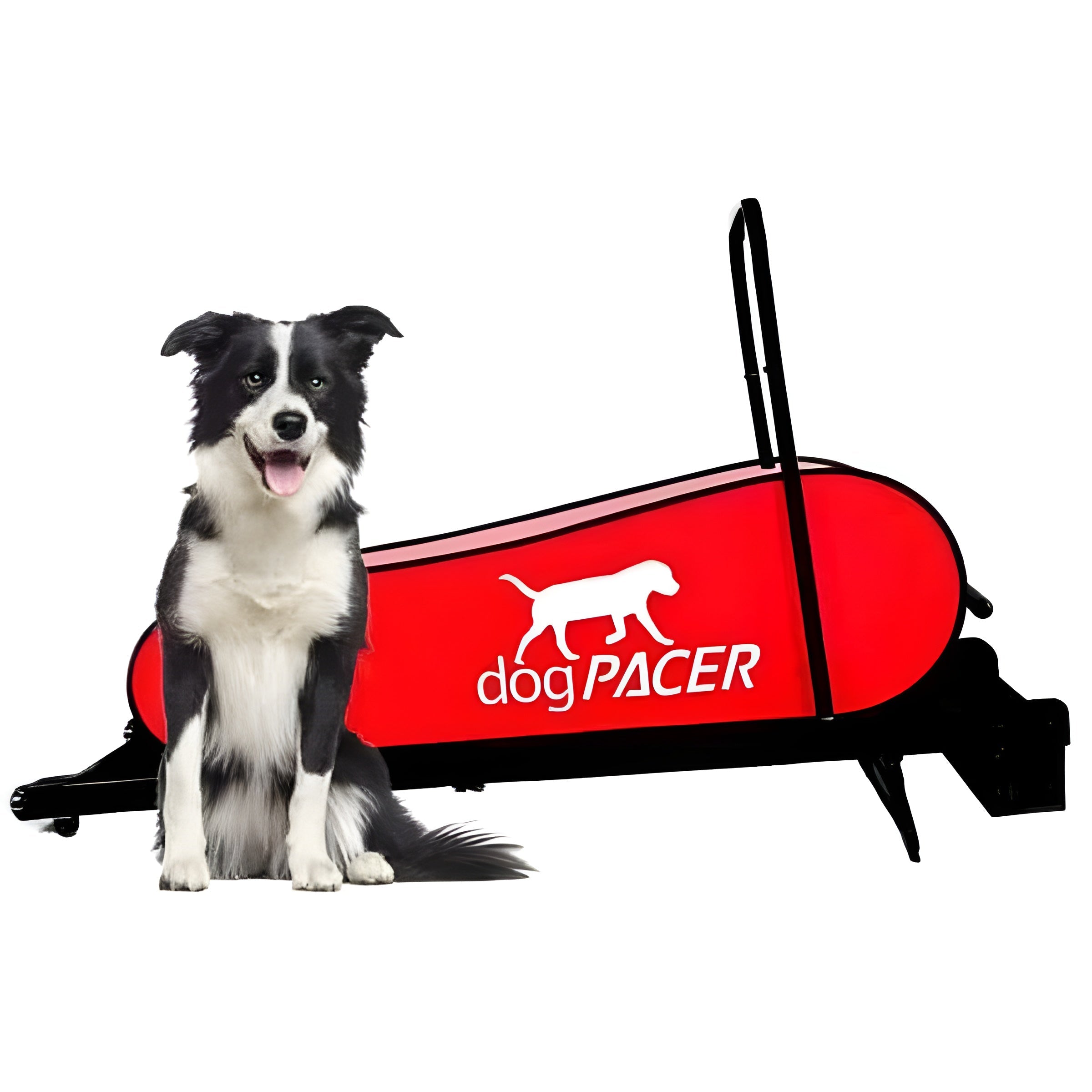 DogPACER Folding Dog Treadmill - DP-LF31