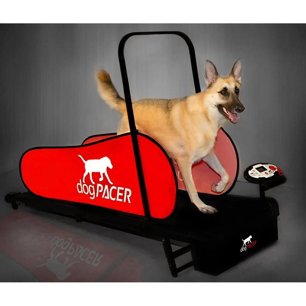 DogPACER Folding Dog Treadmill - DP-LF31