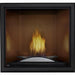 Napoleon Fireplaces STARfire Direct Vent Gas Fireplace with Electronic Ignition, Natural Gas, Napoleon, 35", HDX35NT