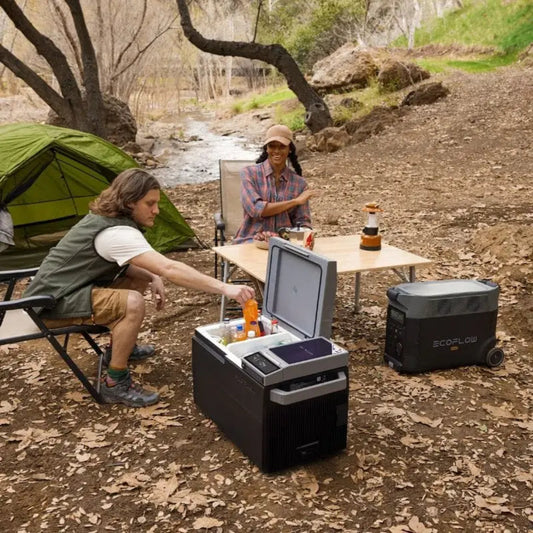 GREE EcoFlow Glacier Portable Fridge with Freezer and Ice-Maker - ZYDBX100-US