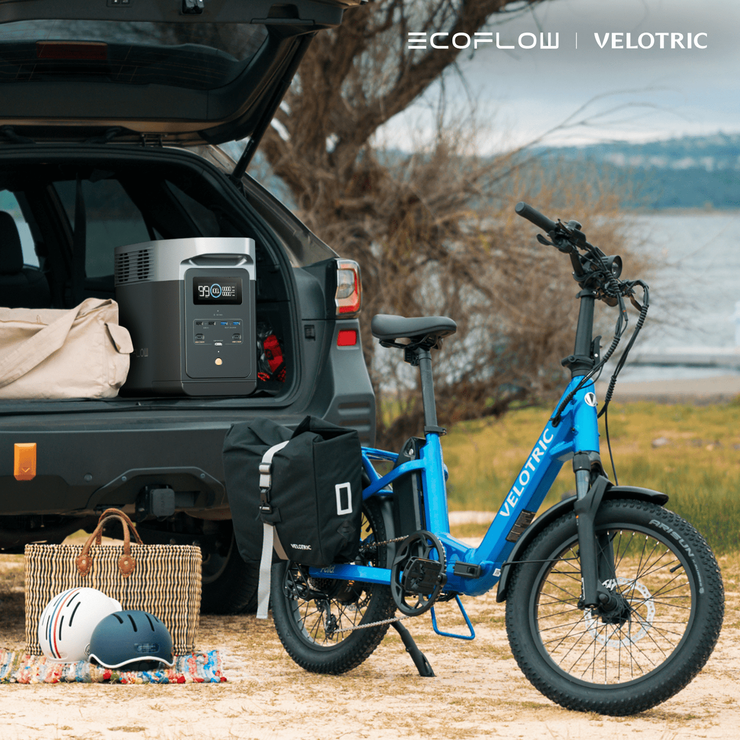 EcoFlow × Velotric