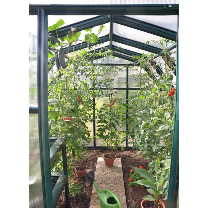 Rion EcoGrow 6' x 12' Greenhouse - HG7012