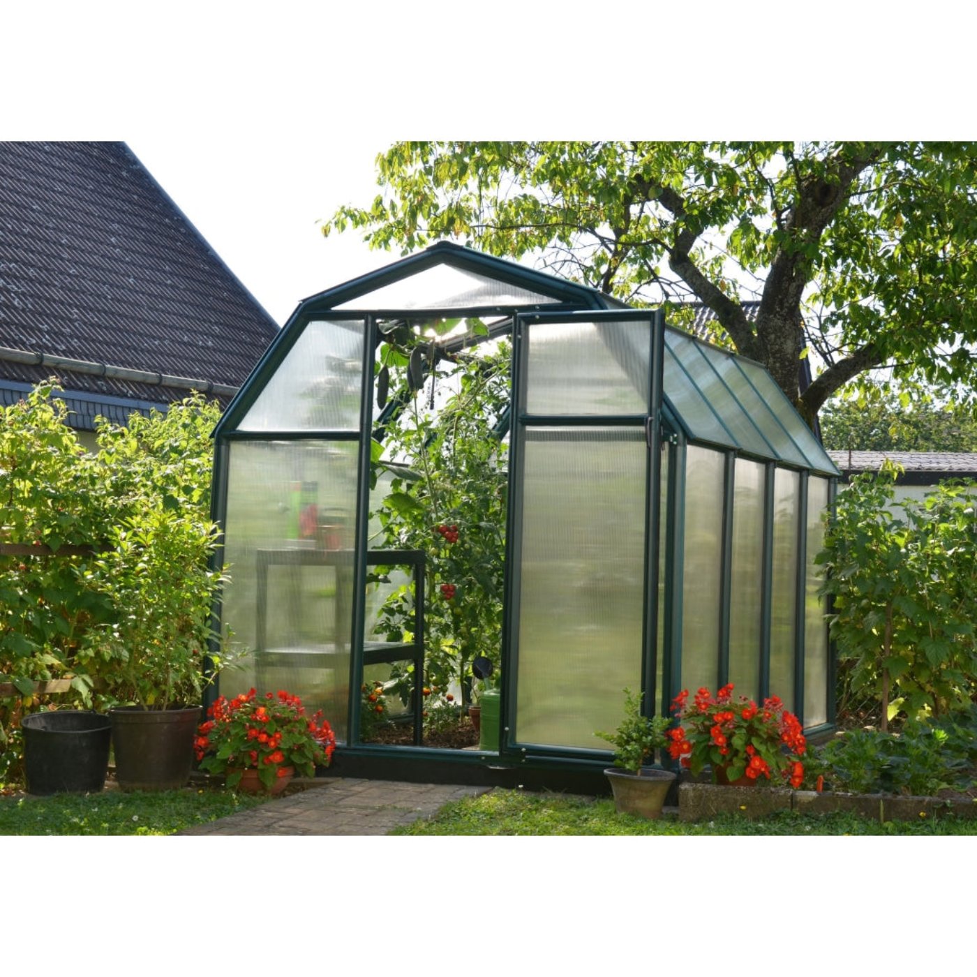 Rion EcoGrow 6' x 8' Greenhouse - HG7008