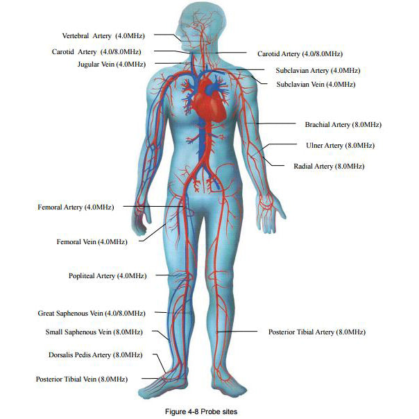 Edan SonoTrax Pro Fetal Doppler Baby Heart Monitor - EDN-STP-03