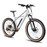 Surface 604 500W Quad Off-Road Electric Bike - EB-2021QUAD-SLV-SM-14AH Price