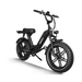 Himiway Escape Pro | Long Range Moped-Style Electric Bike - HIMEscapePro