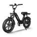 Himiway Escape Pro | Long Range Moped-Style Electric Bike - HIMEscapePro