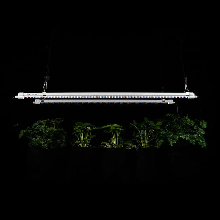 ION LED Grow Light 720W