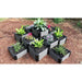 Frame It All | Tool-Free Machu Pichu Raised Garden Bed 10' X 10' Uptown Brown - 1" Profile - 200001452