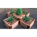 Frame It All | Tool-Free Notre Dame Raised Garden Bed Terraced Cross 6' X 6' X 22" - Classic Sienna - 2" Profile - 200004404