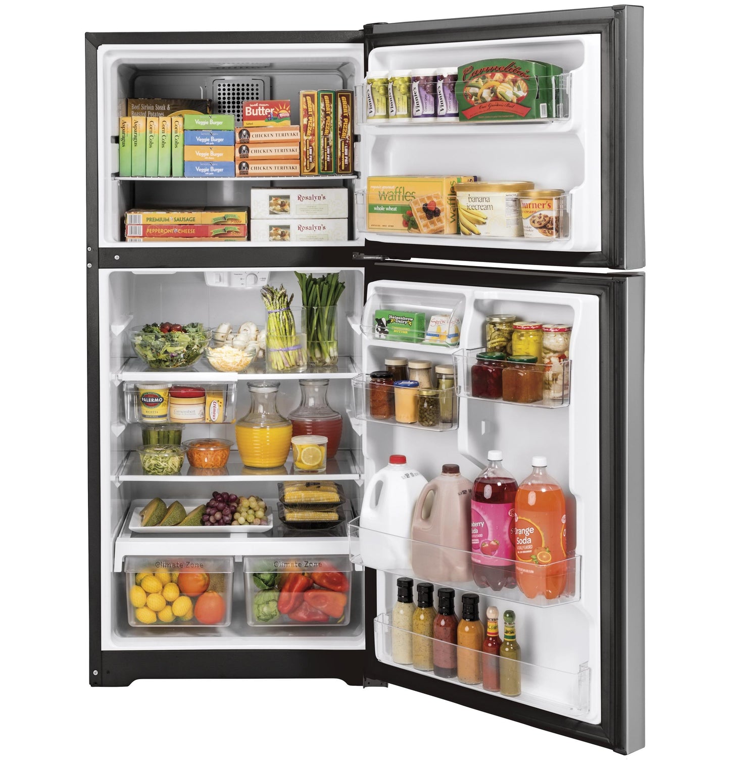 GE APPLIANCES GE 19.2 Cu. Ft. Top-Freezer Refrigerator in Stainless Steel - GTE19JSNRSS