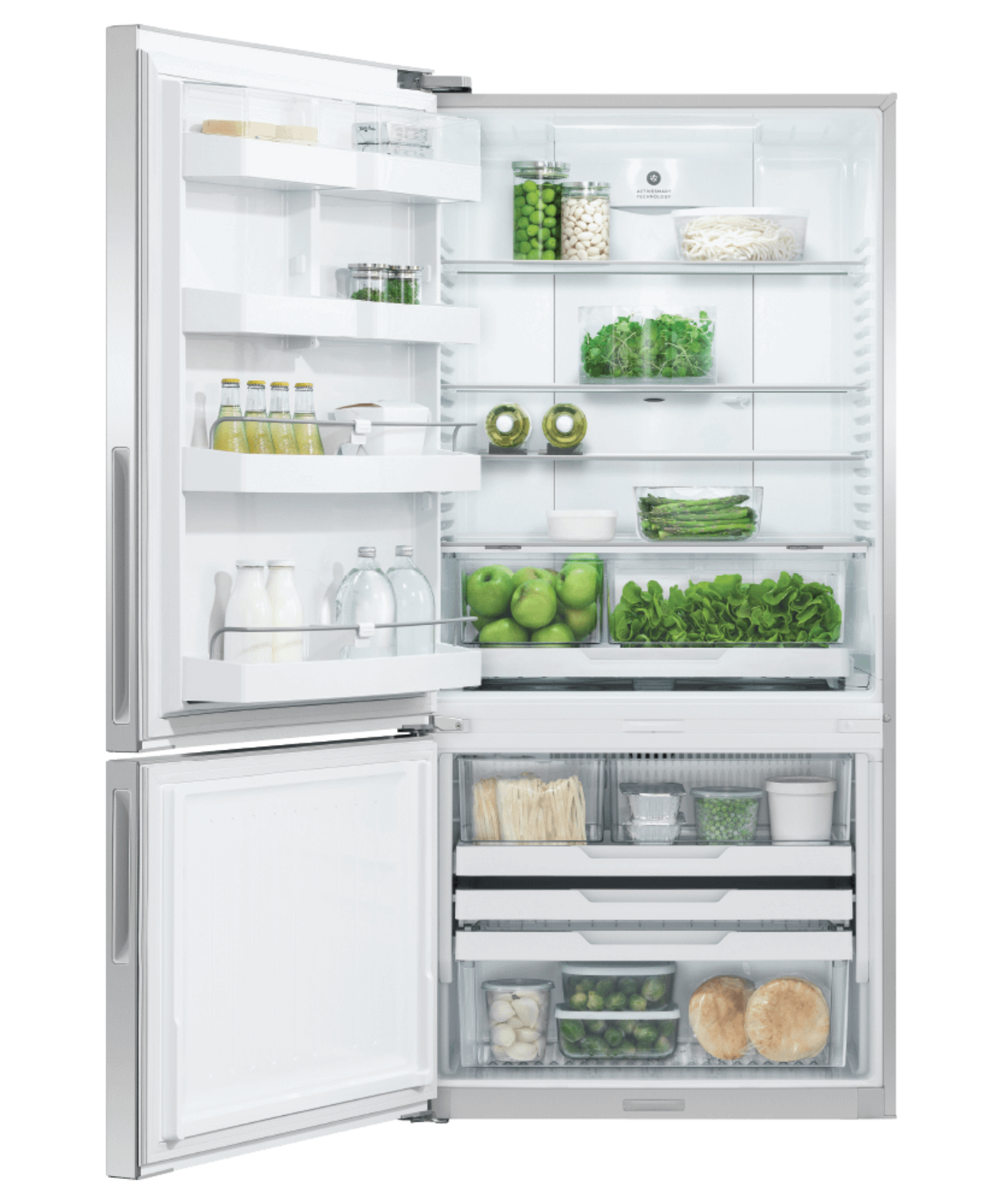 FISHER & PAYKEL RF170BLPX6N 17.5 cu ft Series 5 Refrigerator Freezer in Stainless Steel - RF170BLPX6N