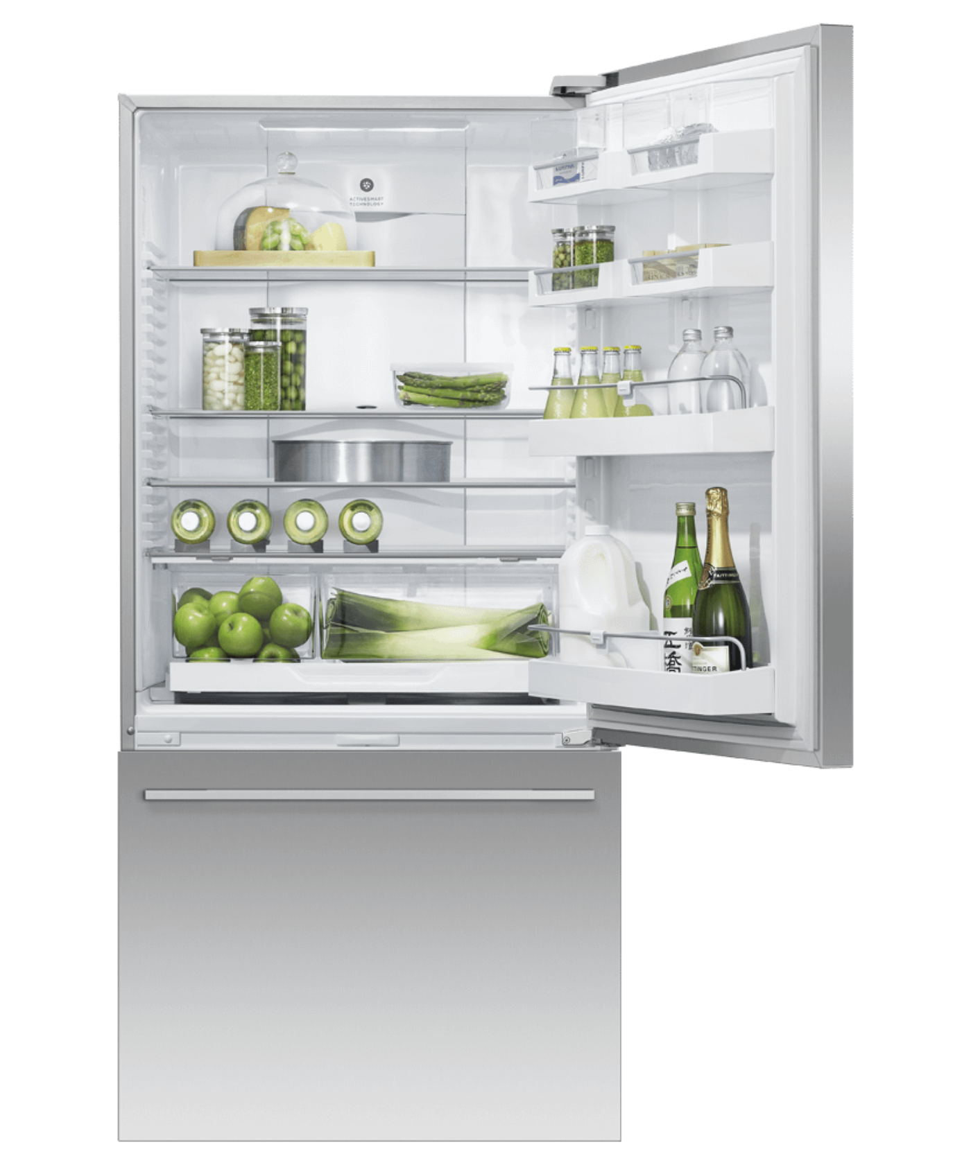 FISHER & PAYKEL RF170WDRJX5 17.1 cu ft Series 5 Refrigerator Freezer in Stainless Steel - RF170WDRJX5