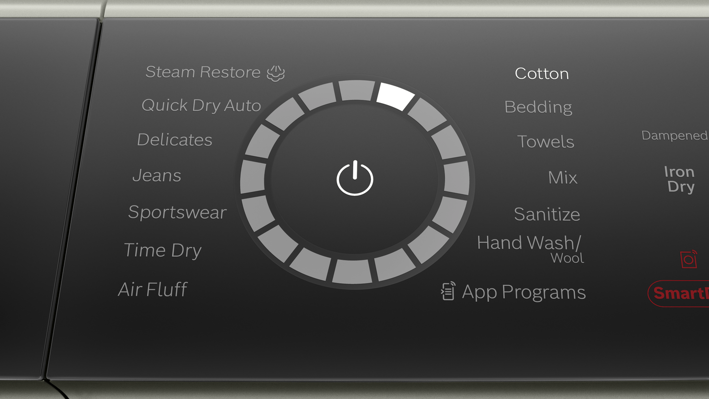 BOSCH WQB245AXUC 800 Series, heat pump dryer, Silver inox Silver