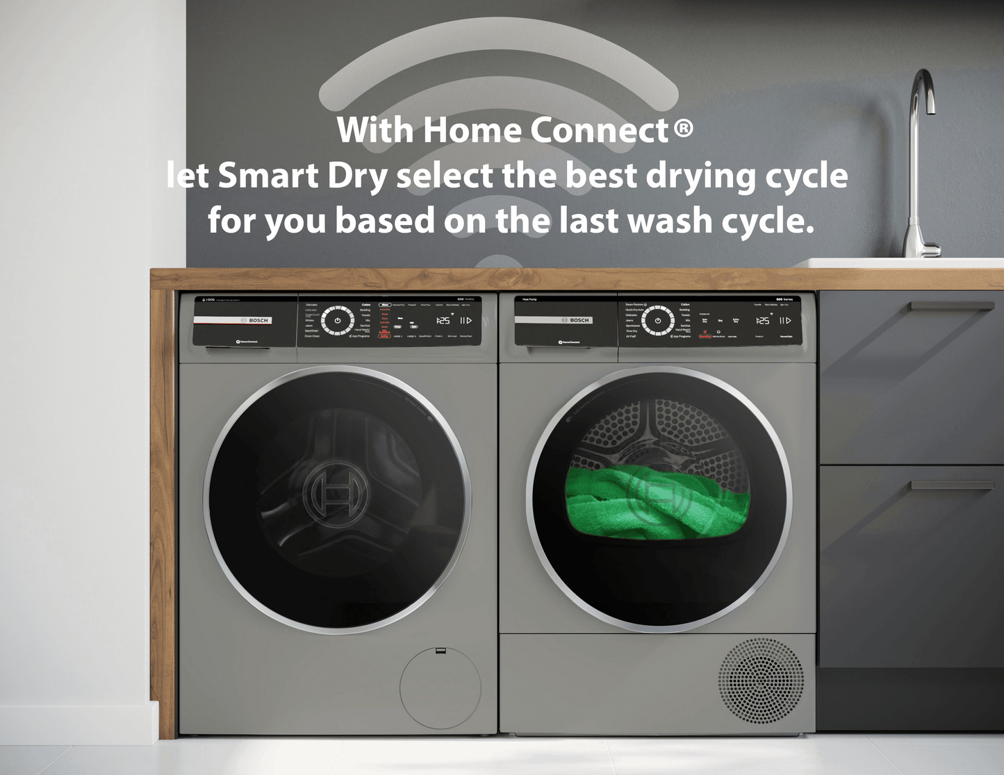 BOSCH WQB245AXUC 800 Series, heat pump dryer, Silver inox Silver