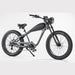 GlareWheel EB-CH 48V/17.5Ah 750W Electric Bike Fat Tire Cruiser EB-CH