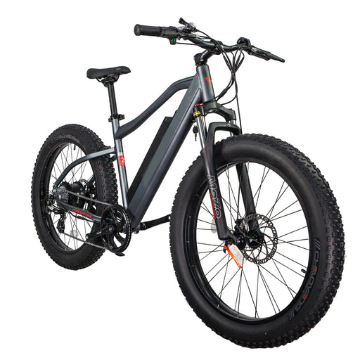 GlareWheel EB-PR 48V/13Ah 500W Fat Tire Electric Mountain Bicycle EB-PR