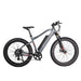 GlareWheel EB-PR 48V/13Ah 500W Fat Tire Electric Mountain Bicycle EB-PR