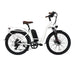 GlareWheel EB-RUPRO 48V/13A 500W Step-Thru Electric City Bike EB-RUPRO