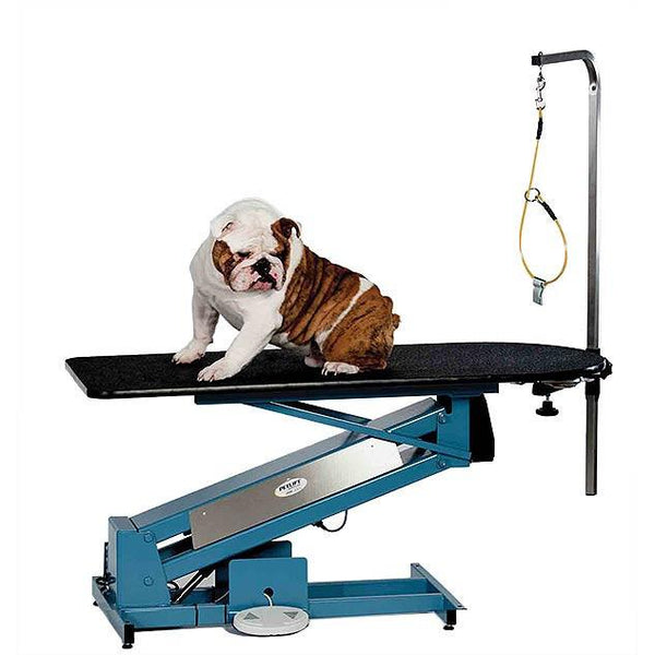 PETLIFT MasterLift LowRider RP Electric Grooming Table with Rotating Post - PL-TGZ-2010E