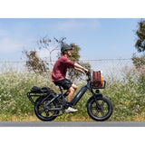 Himiway Big Dog | Electric Cargo Bike - HIMBigDog