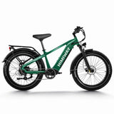 Himiway D5 Zebra | Premium All-terrain Electric Fat Bike