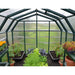 Rion Hobby Gardener 8' x 12' Greenhouse - HG7112