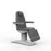 Silver Fox Professional Facial Chair / Massage Table - 2222BN