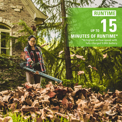 Greenworks 80V 610 CFM Cordless Battery Backpack Blower w/5Ah Battery and Rapid Charger - 2429202