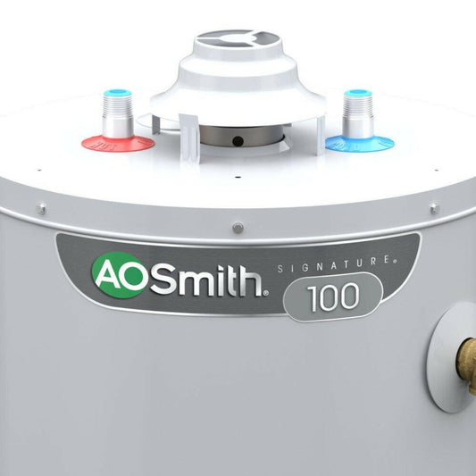 A.O. Smith  Signature 100 30-Gallon 6-year Limited 32000-BTU Natural Gas Water Heater - G6-T3032NVR