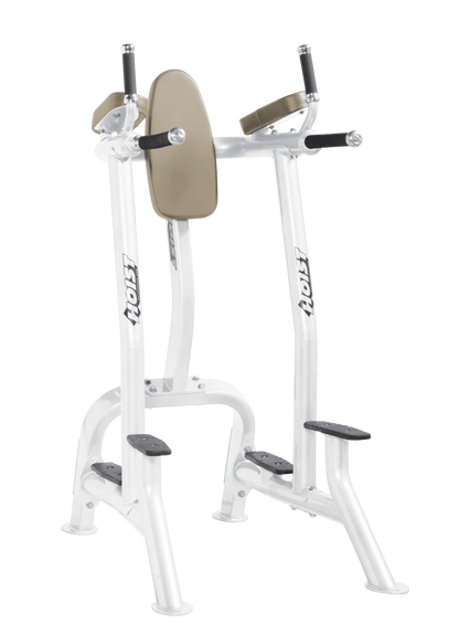 Hoist Commercial Vertical Knee Raise / Dip - CF-3252A