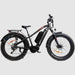 Biktrix 2024 Juggernaut CLASSIC DUO Step-Over 750W Mid-Drive Electric Bike