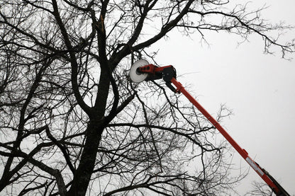 LimbSaw COMBO - Quick Attach Plate & LSC Circular Saw (20") - Standard - LSQP-LSCF-0153