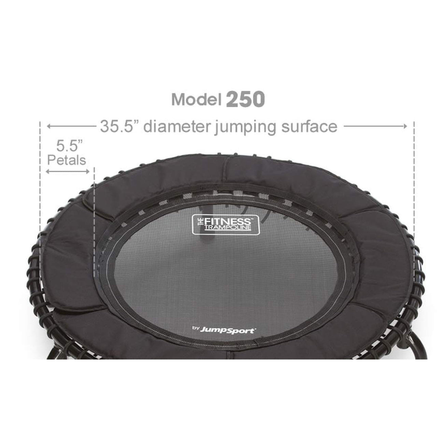 Disc-O-Bed JumpSport 250 Fitness Rebounder Mini Trampoline & Handle Bar Accessory, Black - 250098