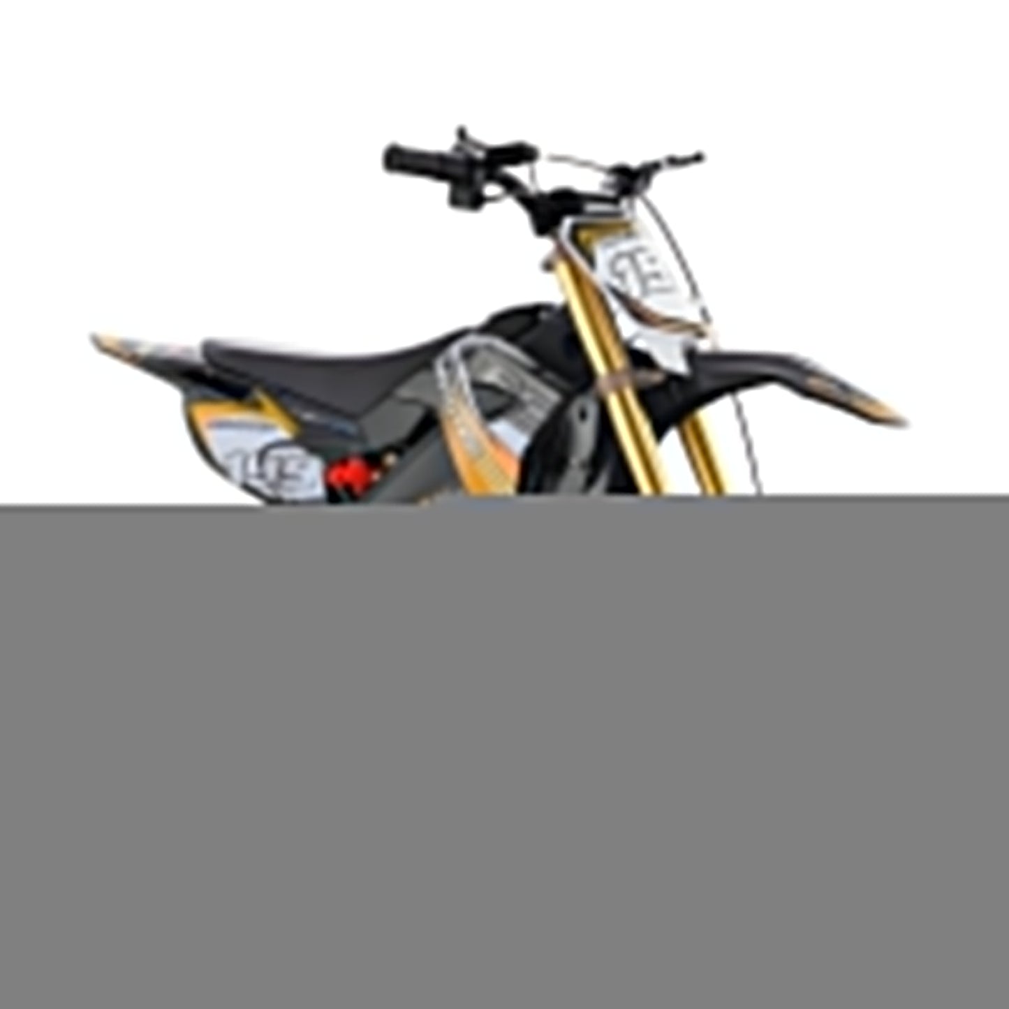 MotoTec Pro 36V/10Ah 1000W Electric Dirt Bike MT-Dirt-Pro